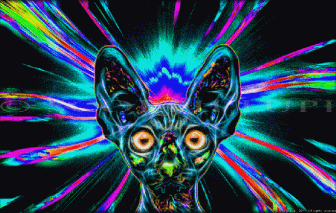 CryptoMedia Testing #1