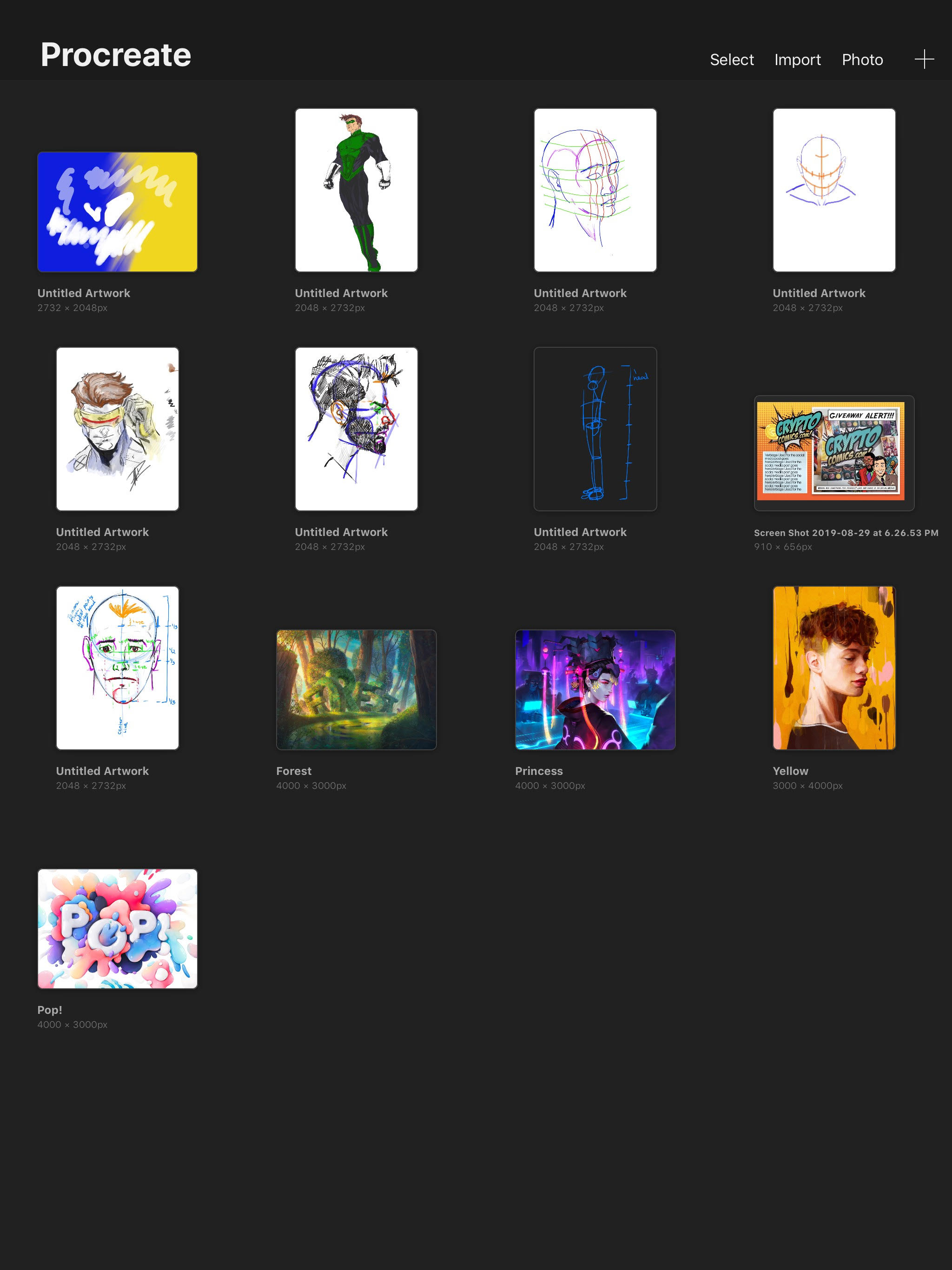 Gallery screenshot from ProCreate