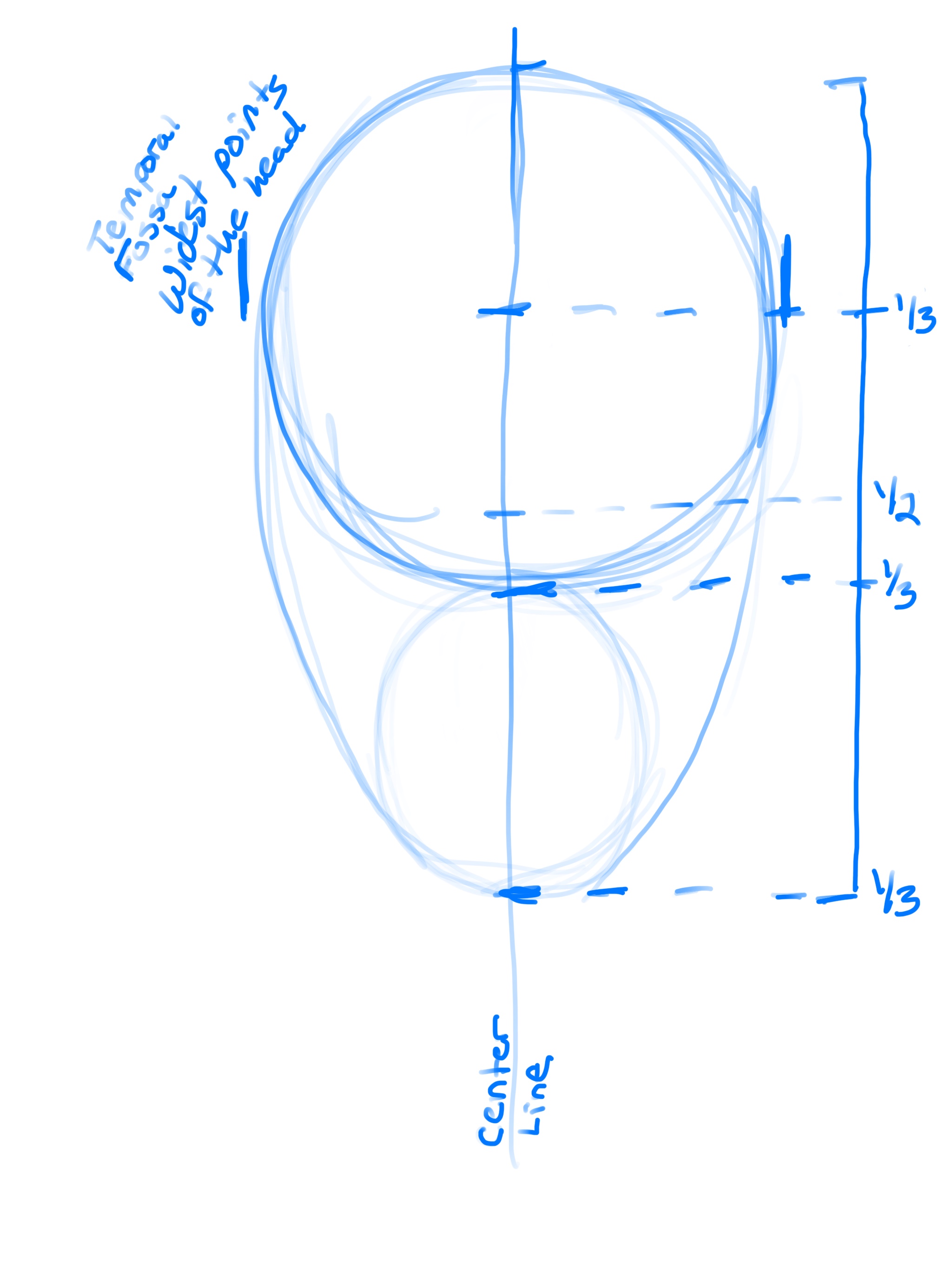 How to draw the Human Face step 1