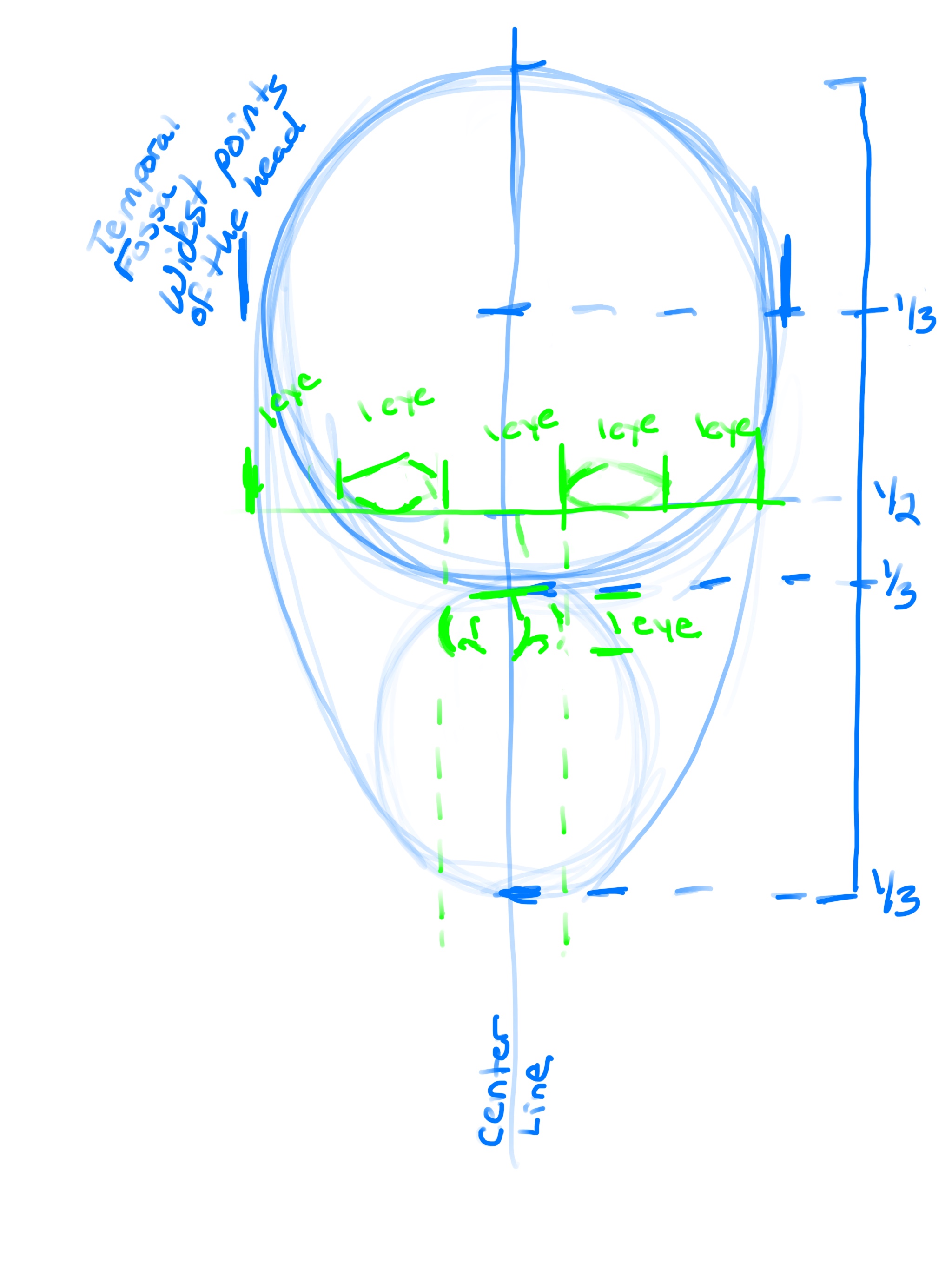 How to draw the Human Face step 2