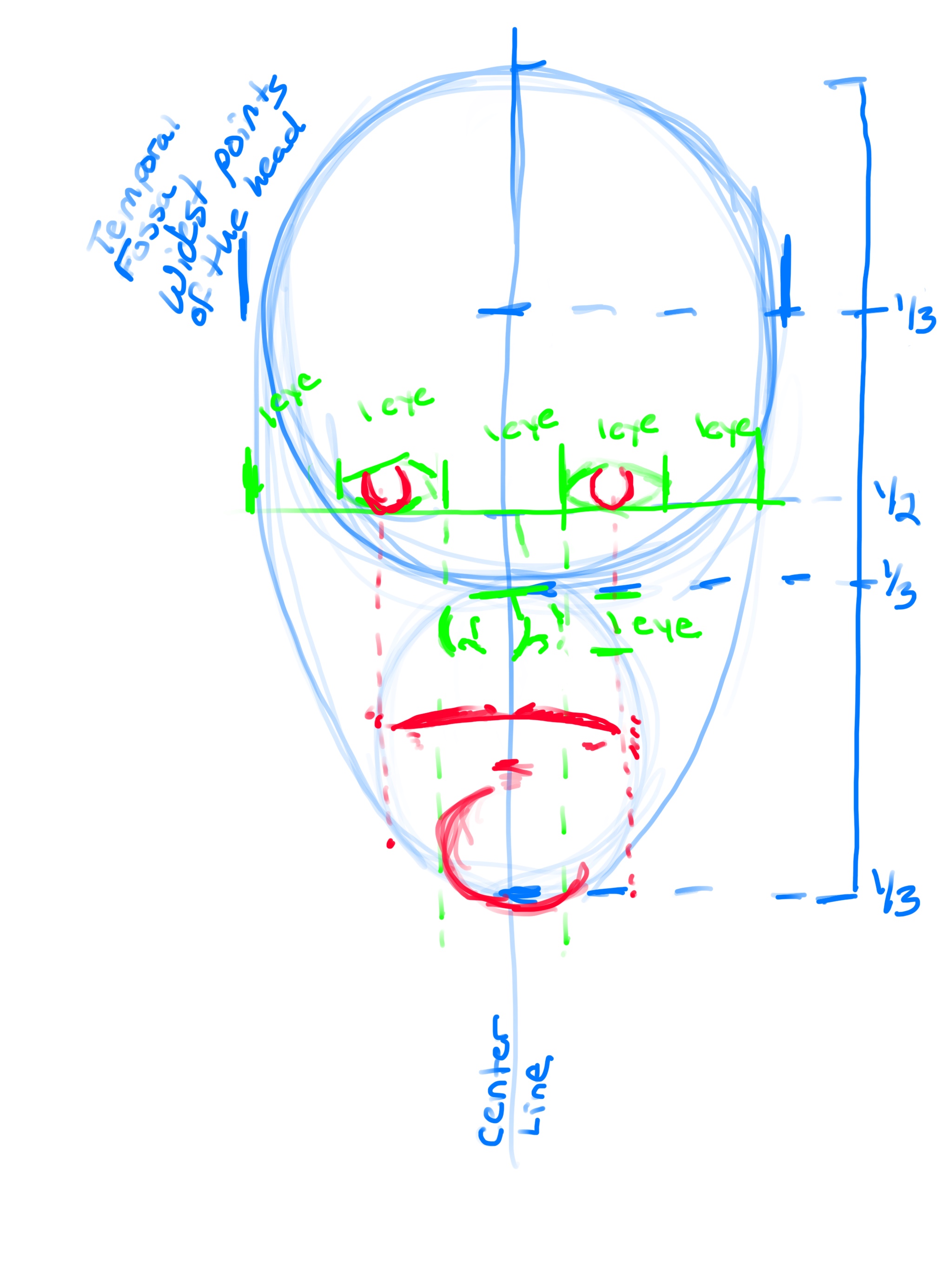 How to draw the Human Face step 3