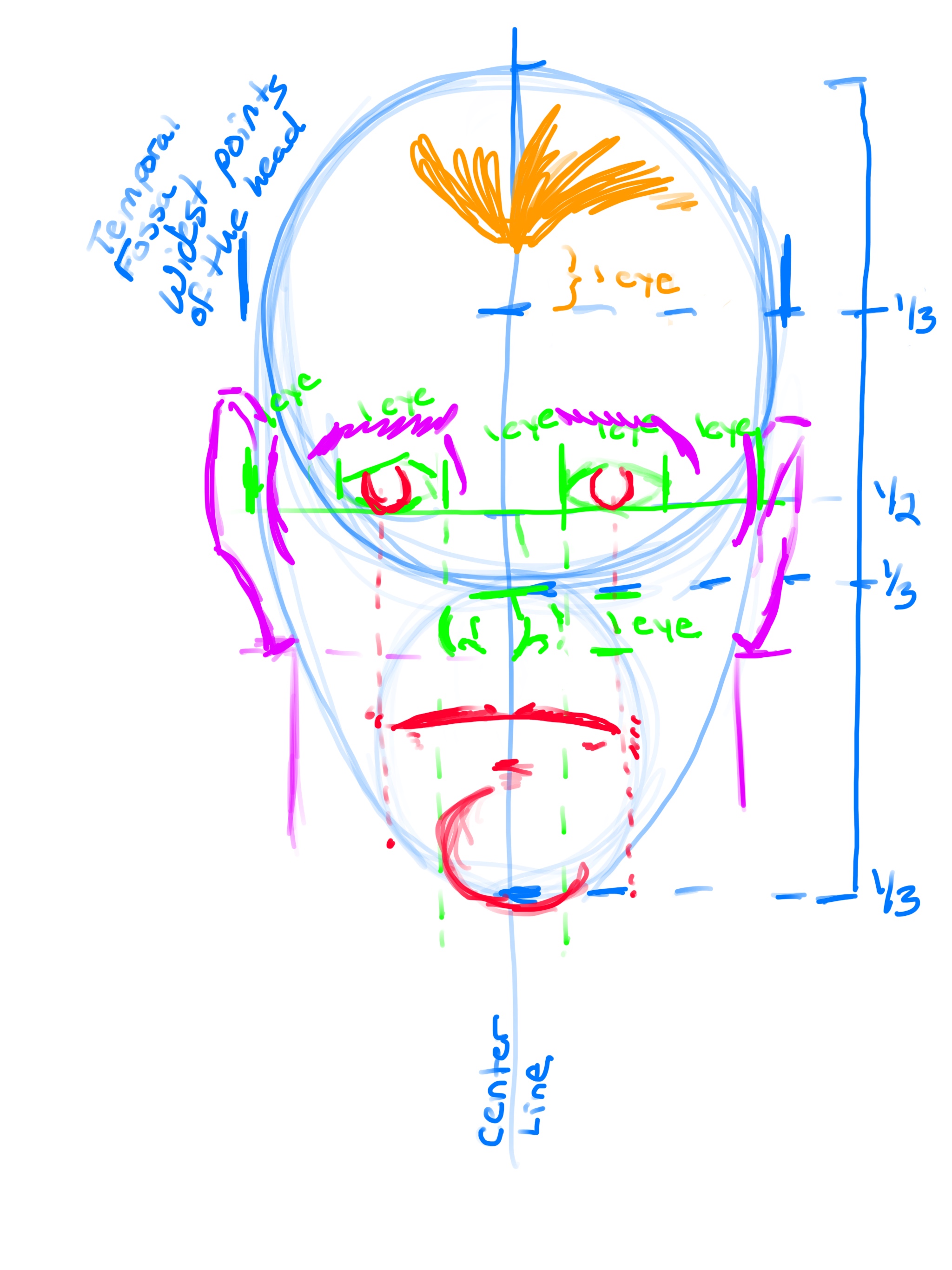 How to draw the Human Face step 5